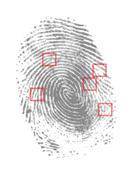 fingerprint